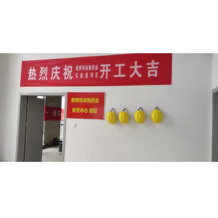 1603266391172731.jpg 1603182723401487.jpg